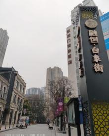 重庆白象街29