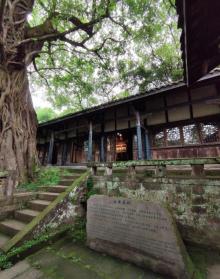 钓鱼城15