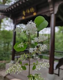 钓鱼城18