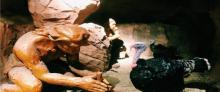 绿色星球动物主题公园13