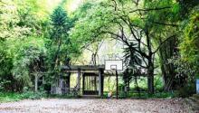金刚碑・古树下的江村29