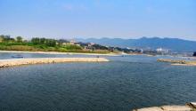 金刚碑・古树下的江村9