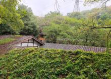 金刚碑・古树下的江村3
