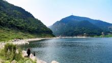 金刚碑・古树下的江村12