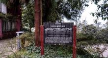 南山植物园17