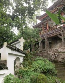 南山植物园27