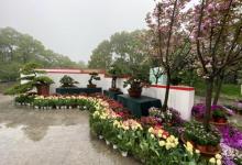 南山植物园28
