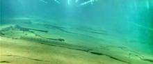白鹤梁水下博物馆8