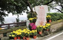 鹅岭公园20