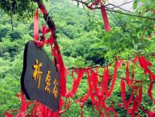 武陵山大裂谷5