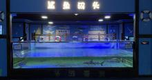 欢乐海底世界19