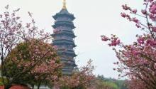 重庆园博园10