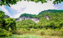 酉阳桃花源6