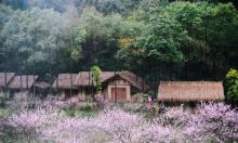 酉阳桃花源8