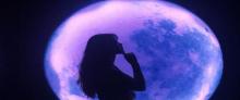 梵高星空艺术馆16