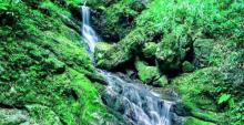 黑山谷风景区10