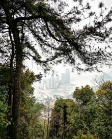 南山风景区10