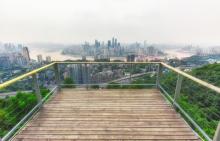 南山一棵树观景台12