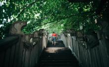 山城步道23