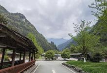 金佛山28
