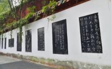 白帝城.瞿塘峡景区16