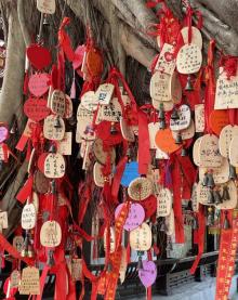 白帝城.瞿塘峡景区27