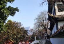 白帝城.瞿塘峡景区25