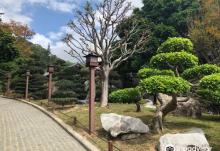 西@5