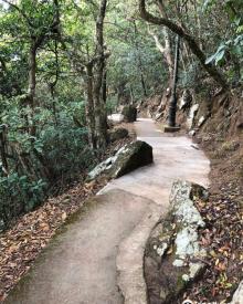 Governor's Walk Trail5