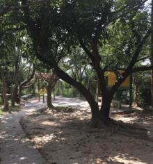鸭仔山休憩公园2