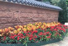 岭南之风6