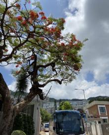 根德道花园11