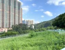 环保大道宠物公园3