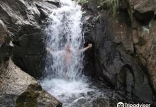Wild Hong Kong3