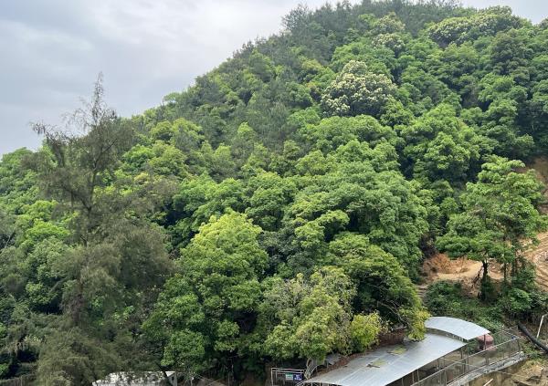 白水岩
