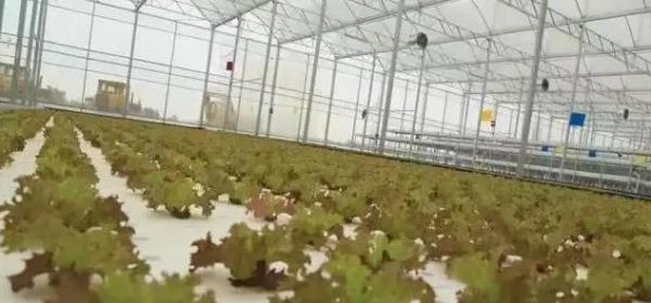 春沐源智慧农业示范区