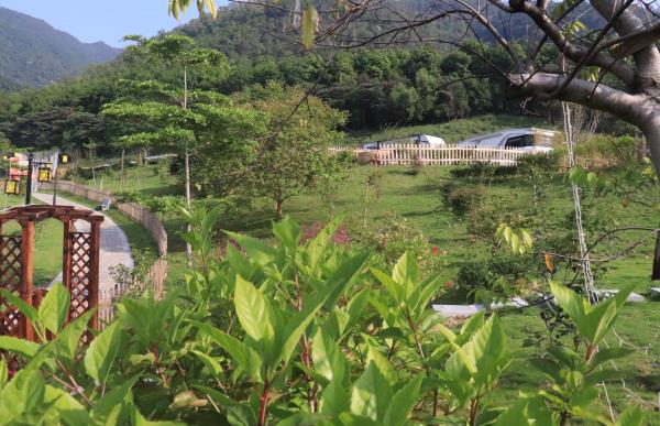 中游房车露营基地