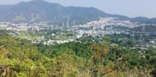 蝴蝶山径2