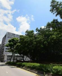 和黄公园11