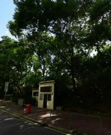 和黄公园8