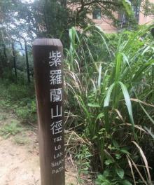 紫罗兰山径2