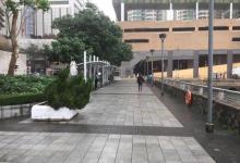爱秩序湾海滨花园2