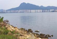 大埔海5