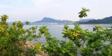 大埔海2