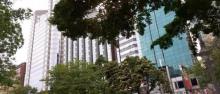 市政局百周年纪念花园2