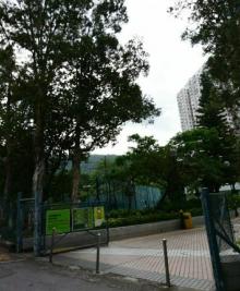 荃景围网球场6