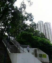 荃景围网球场5