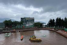 热带雨林天地2