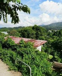 牛牯岭行山径5