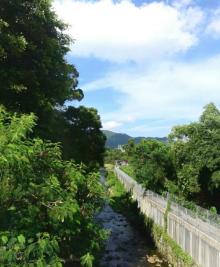 牛牯岭行山径6